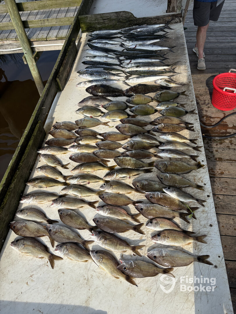 Calabash Report Photo 0