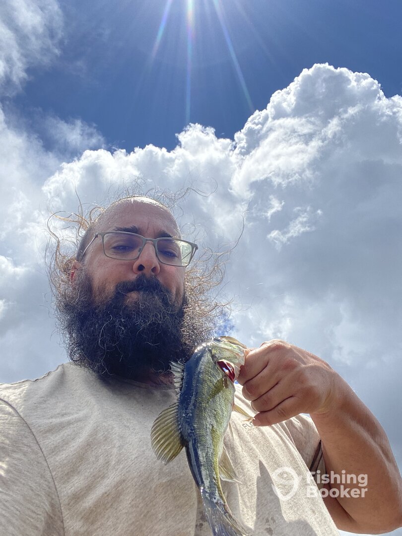 Weston Report Photo 0