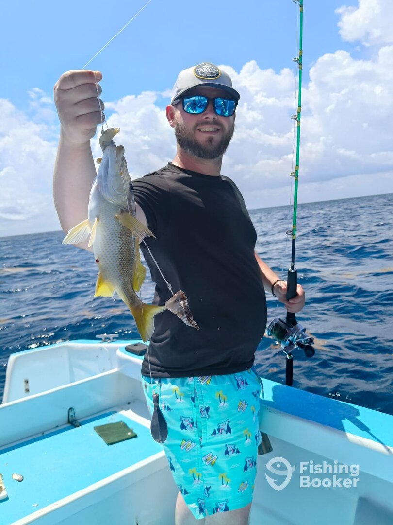 Playa Del Carmen Report Photo 0