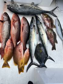 Herradura Report Photo 2