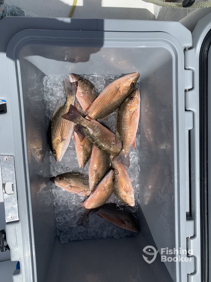 Bonita Springs Report Photo 0