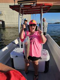 Red fish, snook and black drum