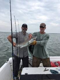Chincoteague Report Photo 2