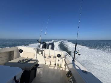 Southold Report Photo 4