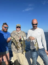 Schools of snook make for exciting days!