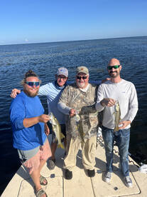 Punta Gorda Report Photo 2