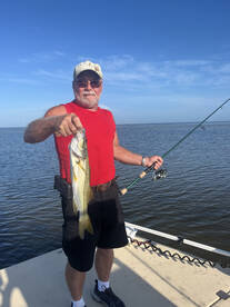 Punta Gorda Report Photo 1