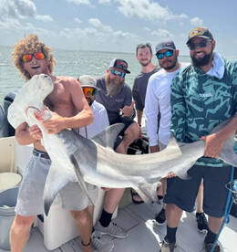 Lots of fish being caught