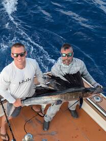 Sailfish are still hungry!