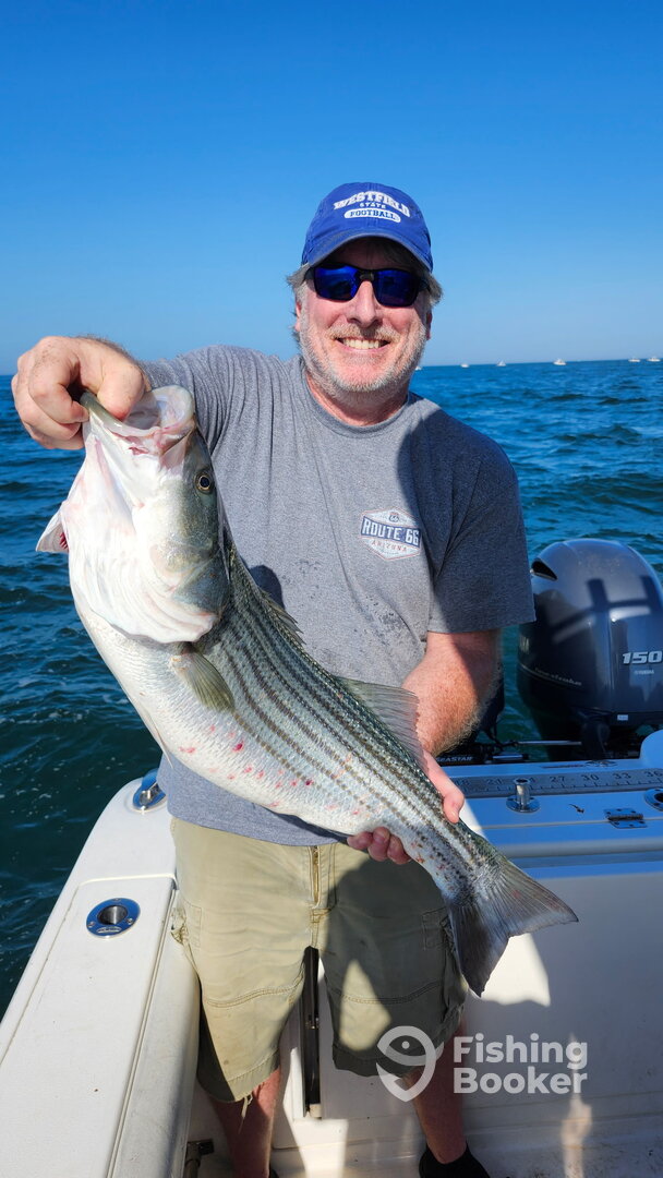 Dennis Report Photo 0