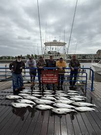 Fast and furious Salmon action!