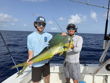 Mahi season