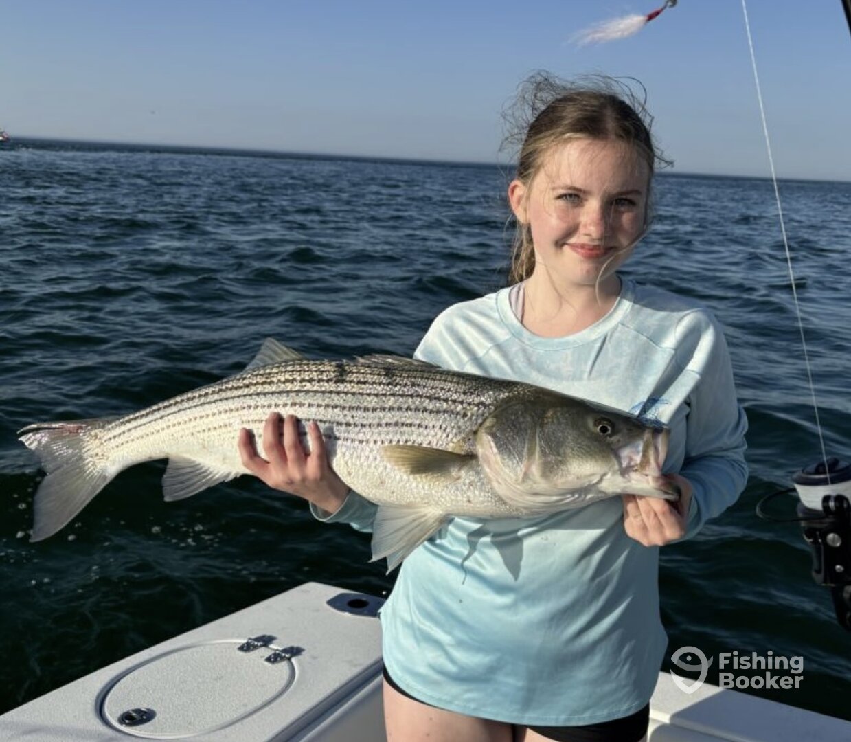 Barnstable Report Photo 0