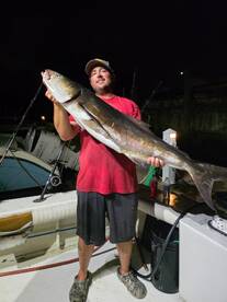 Night time shark fishing