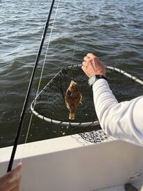 Highlands Report Photo 2