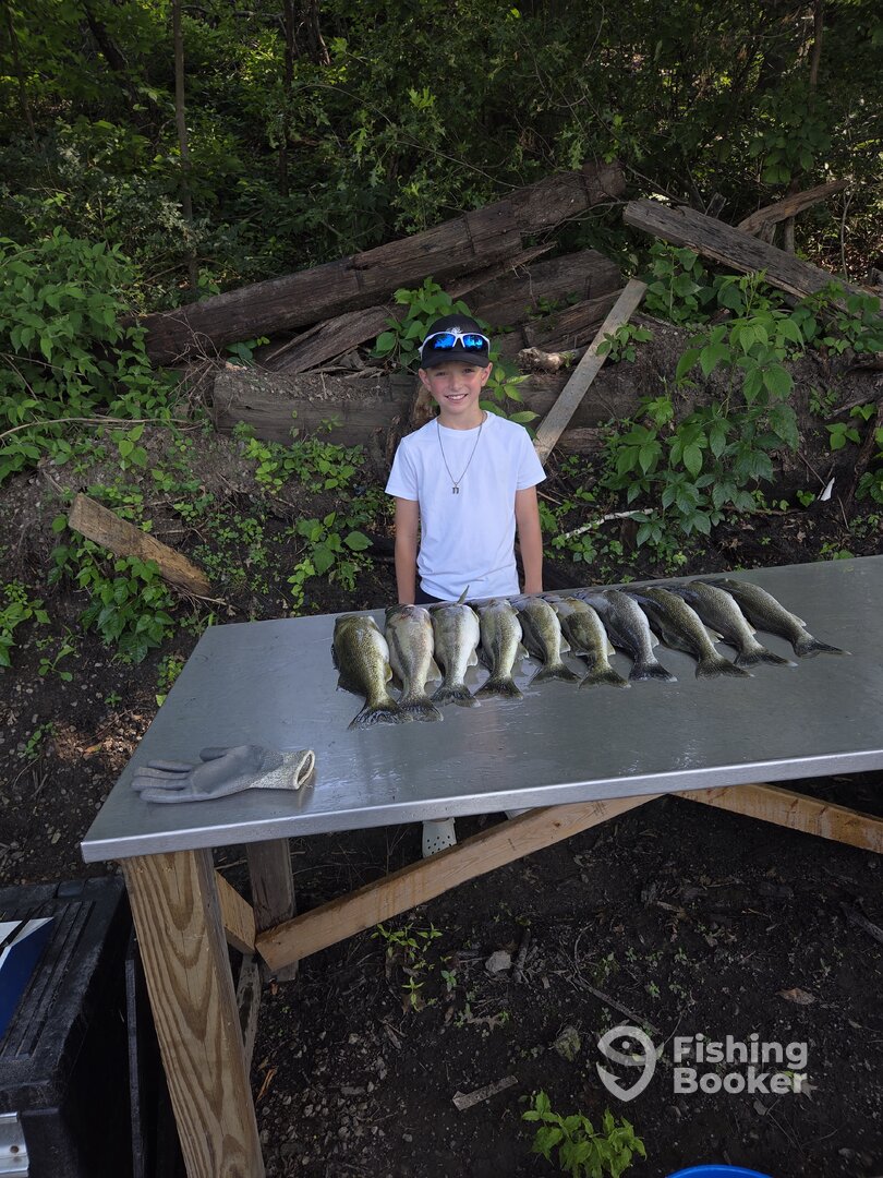 Vermilion Report Photo 0