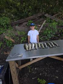 Good day in the central basin 