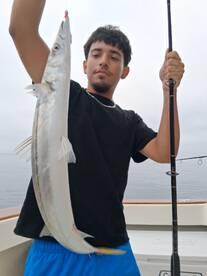Thresher Shark, Calico Bass, White Sea B