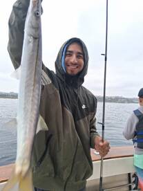 Dana Point Report Photo 2