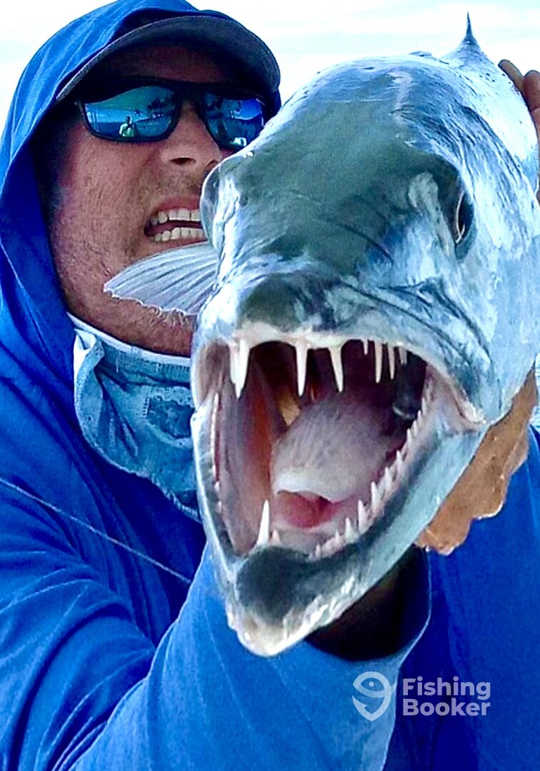 Islamorada Report Photo 0