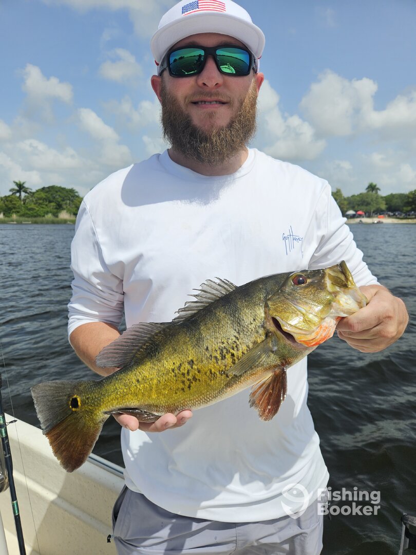 Delray Beach Report Photo 0