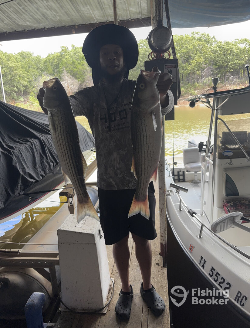 Pottsboro Report Photo 0