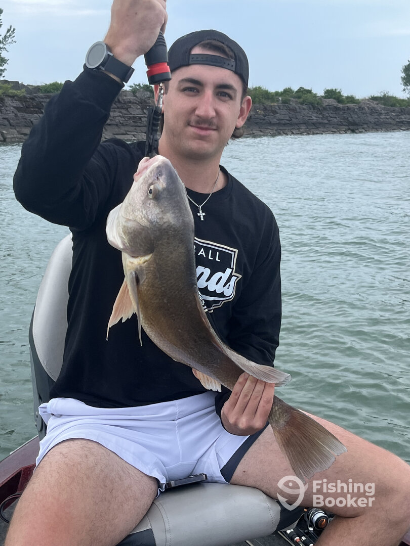 Buffalo Report Photo 0