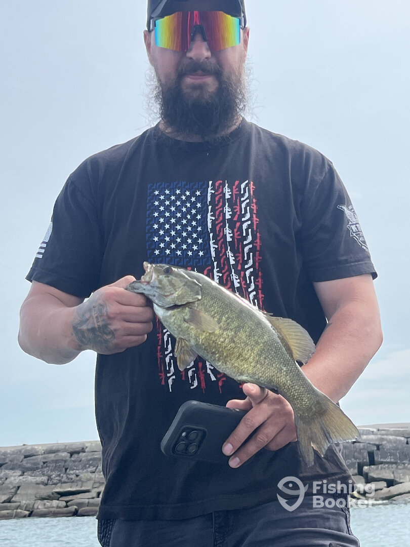 Buffalo Report Photo 0