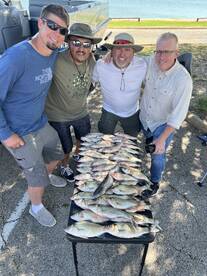 White Bass Lake Lavon