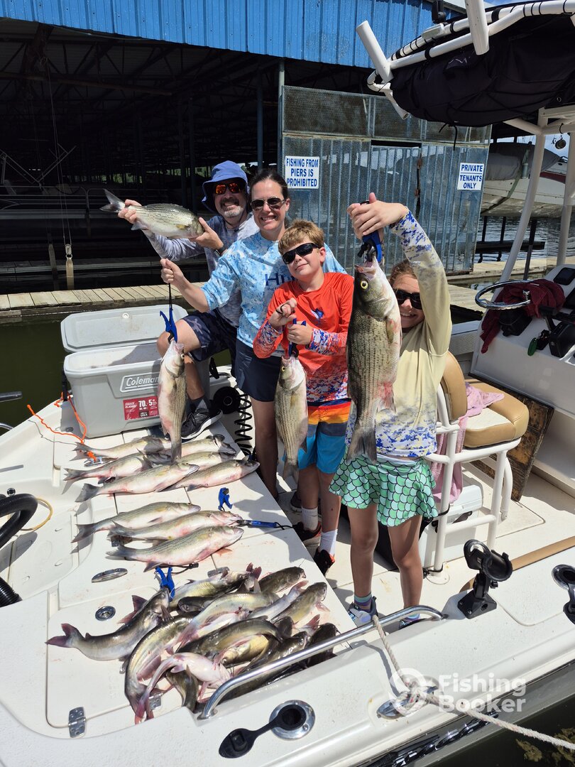 Willis Report Photo 0