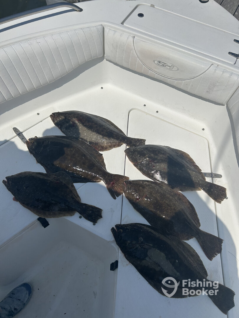 Cape May Report Photo 0