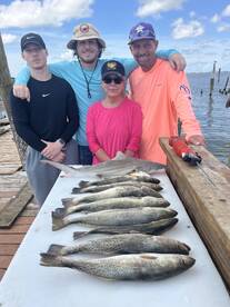 Galveston Report Photo 1