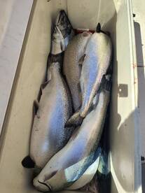 St. Joseph Report Photo 2