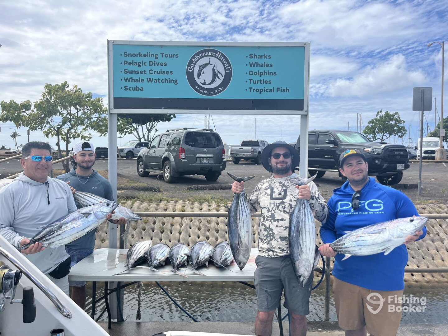 Haleiwa Report Photo 0