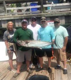 KING MACKEREL FISH
