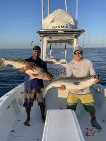 Big striped bass blitz and epic bite