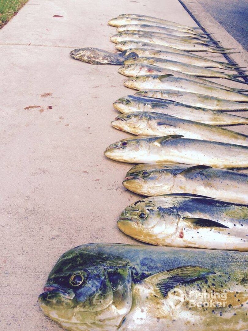 Cartagena de Indias Report Photo 0