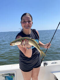 Speckled Sea Trout Season Is Here!