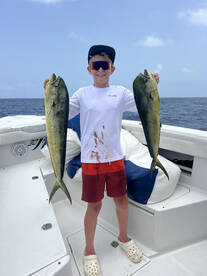 Mahi mahi everywhere!!