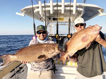 Grouper, Snapper & more! 