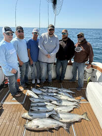 Kings are getting happy 