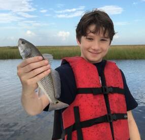 New Orleans Report Photo 1