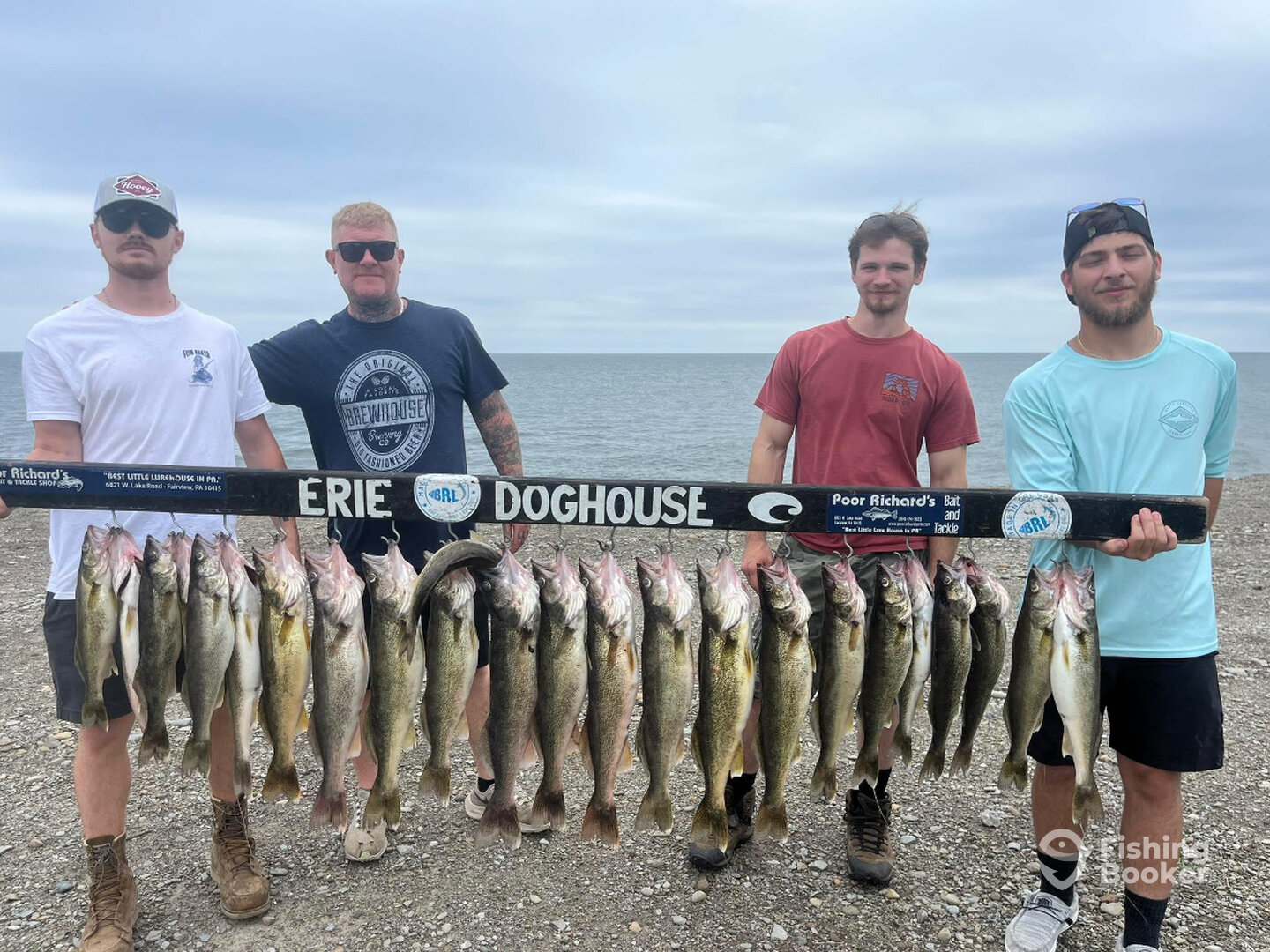 Fairview Report Photo 0