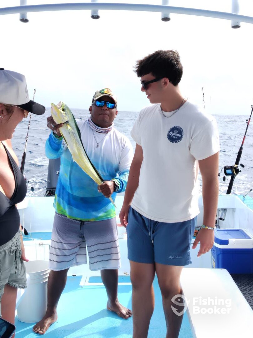 Playa Del Carmen Report Photo 0