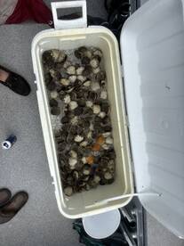 Steinhatchee Report Photo 2