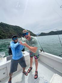 Live Bait Draws in Rooster Fish & Others