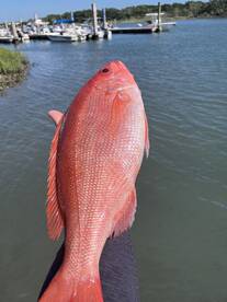 Morehead City Report Photo 1