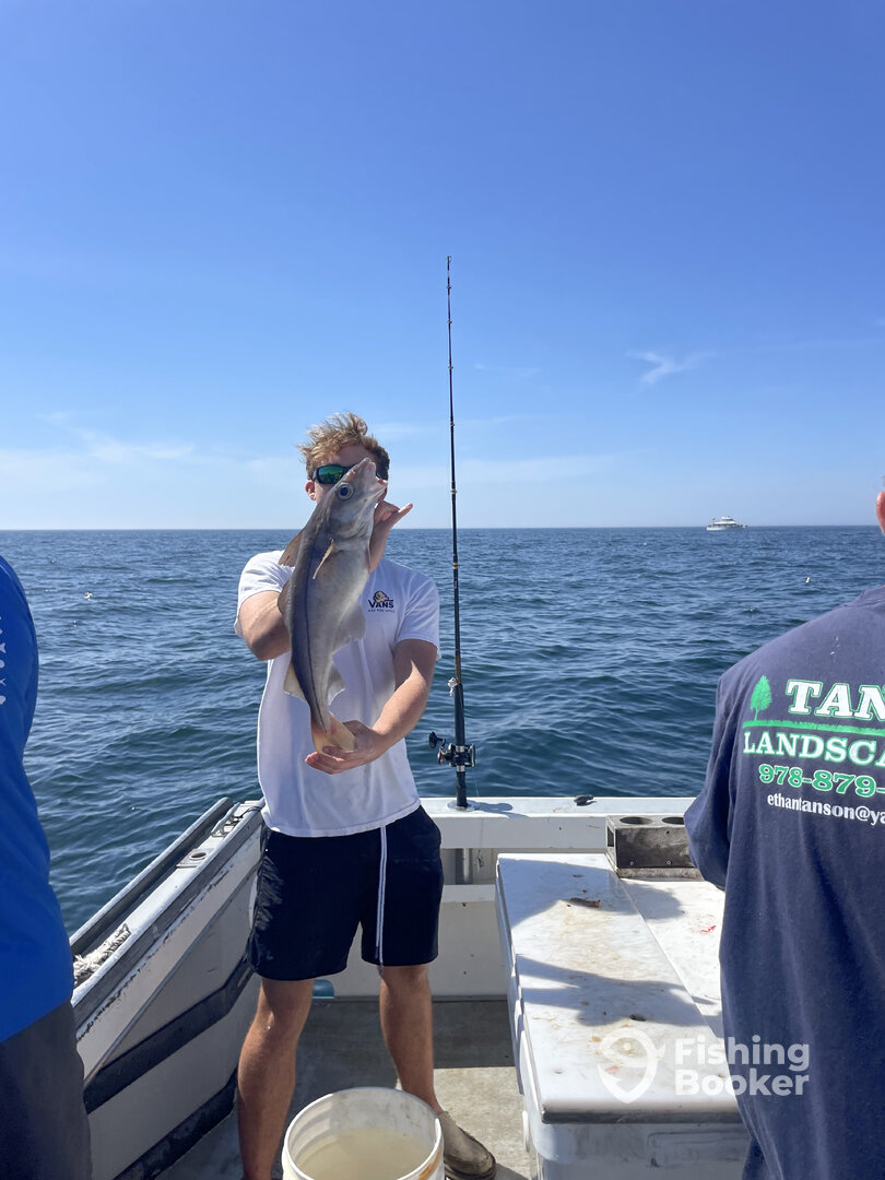 Gloucester Report Photo 0