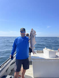 Gloucester Report Photo 1