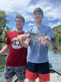 Branson Report Photo 2